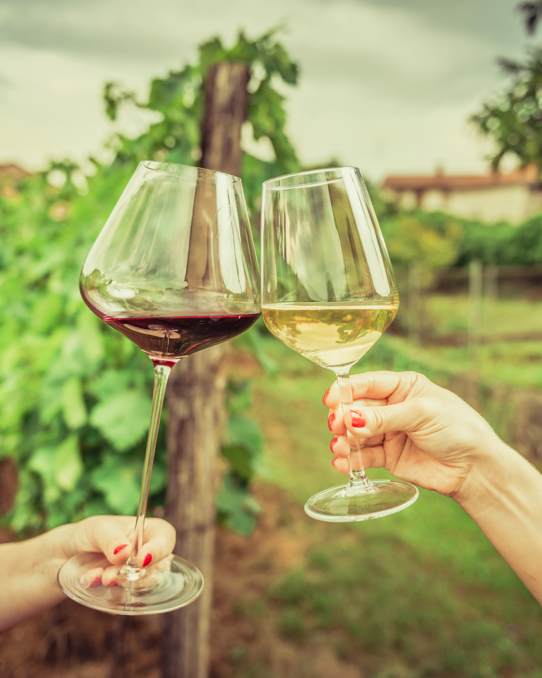 chianti simo vip tour